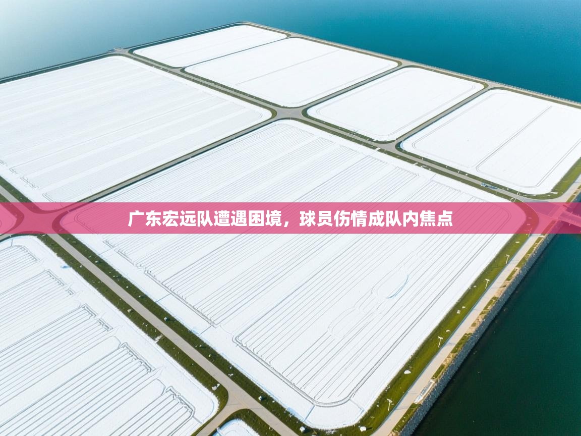 广东宏远队遭遇困境,球员伤情成队内焦点 第2张