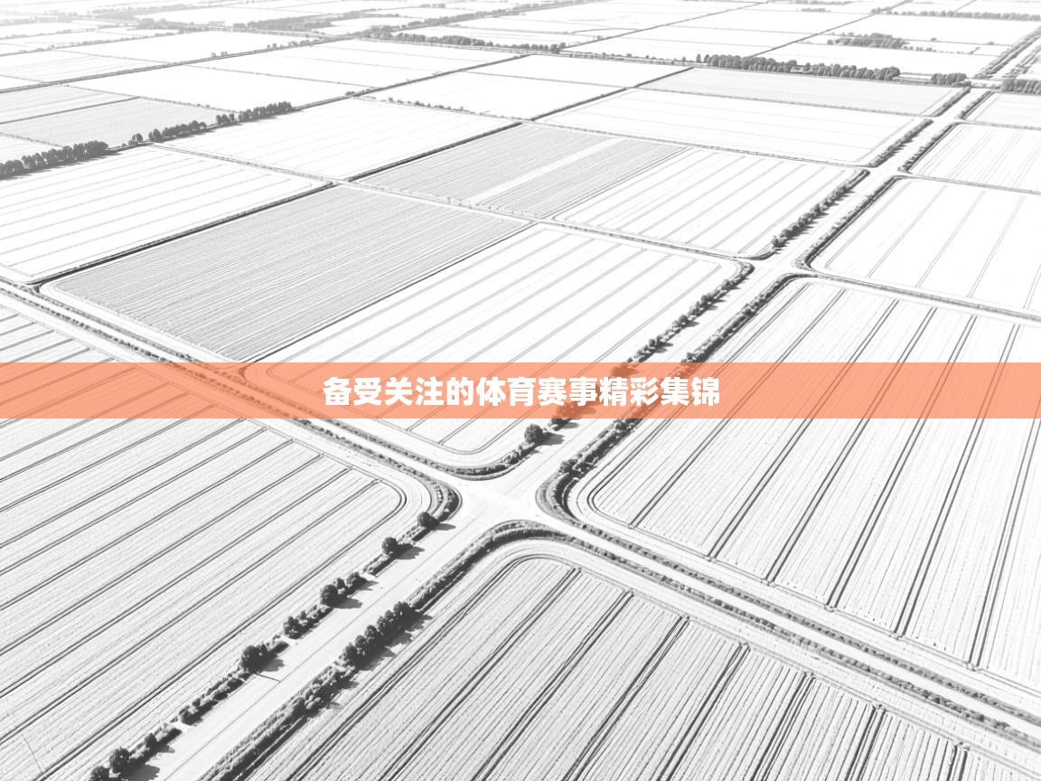备受关注的体育赛事精彩集锦  第1张