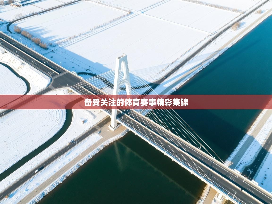 备受关注的体育赛事精彩集锦  第2张