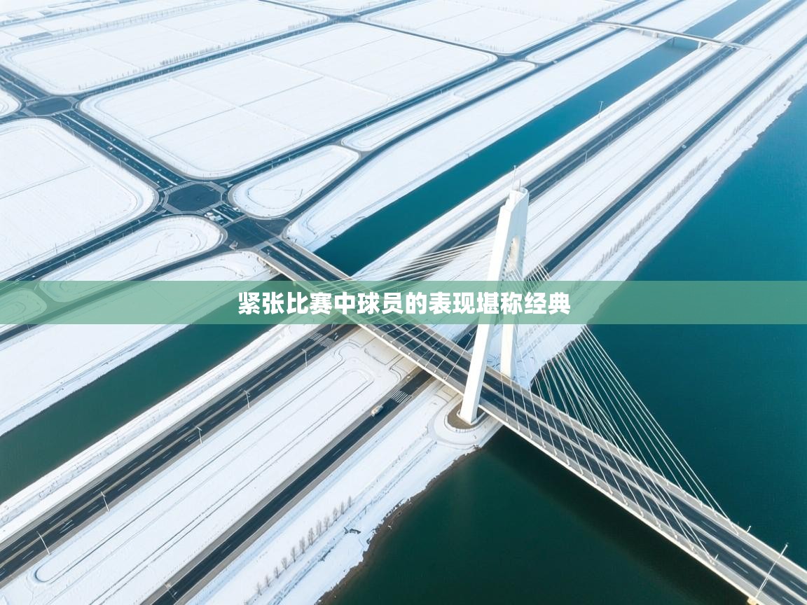 紧张比赛中球员的表现堪称经典  第1张