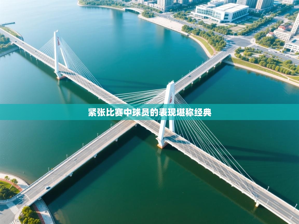 紧张比赛中球员的表现堪称经典  第2张