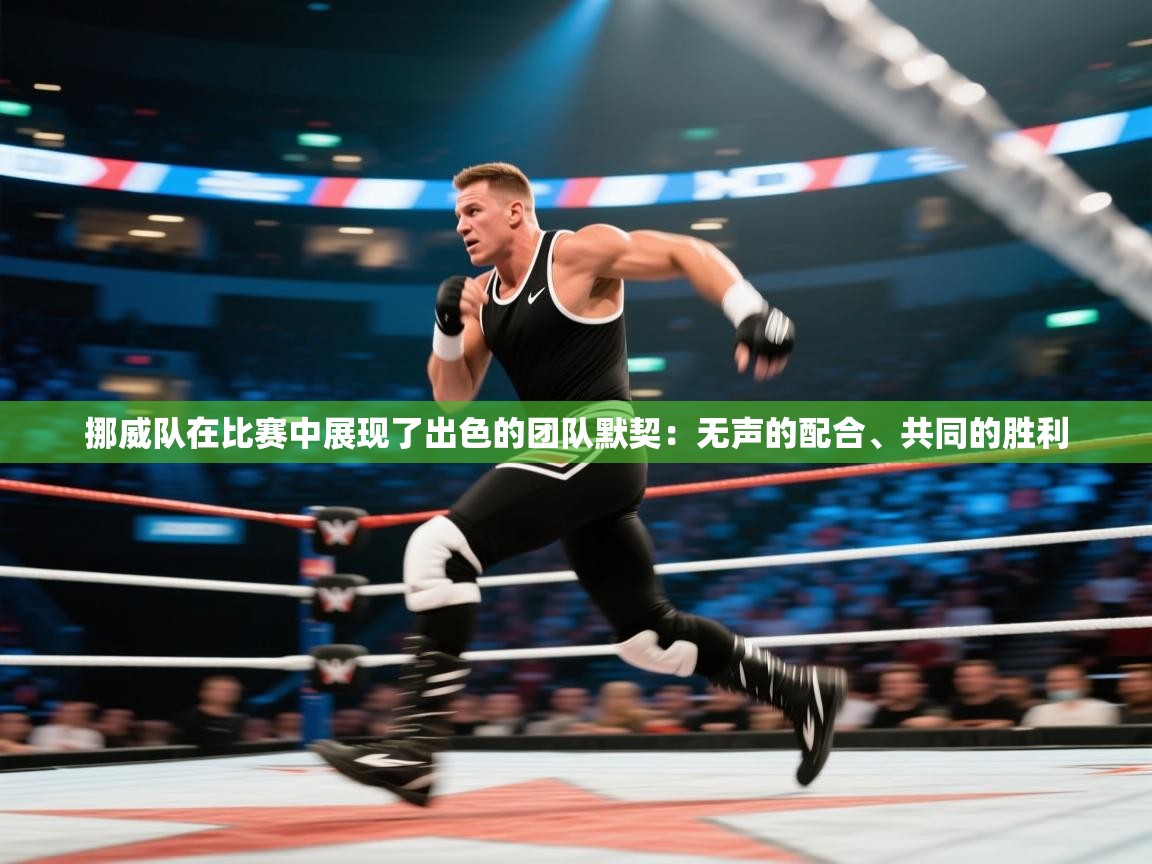 挪威队在比赛中展现了出色的团队默契：无声的配合、共同的胜利  第1张